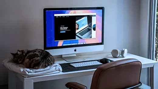 Small Business Websites from $99